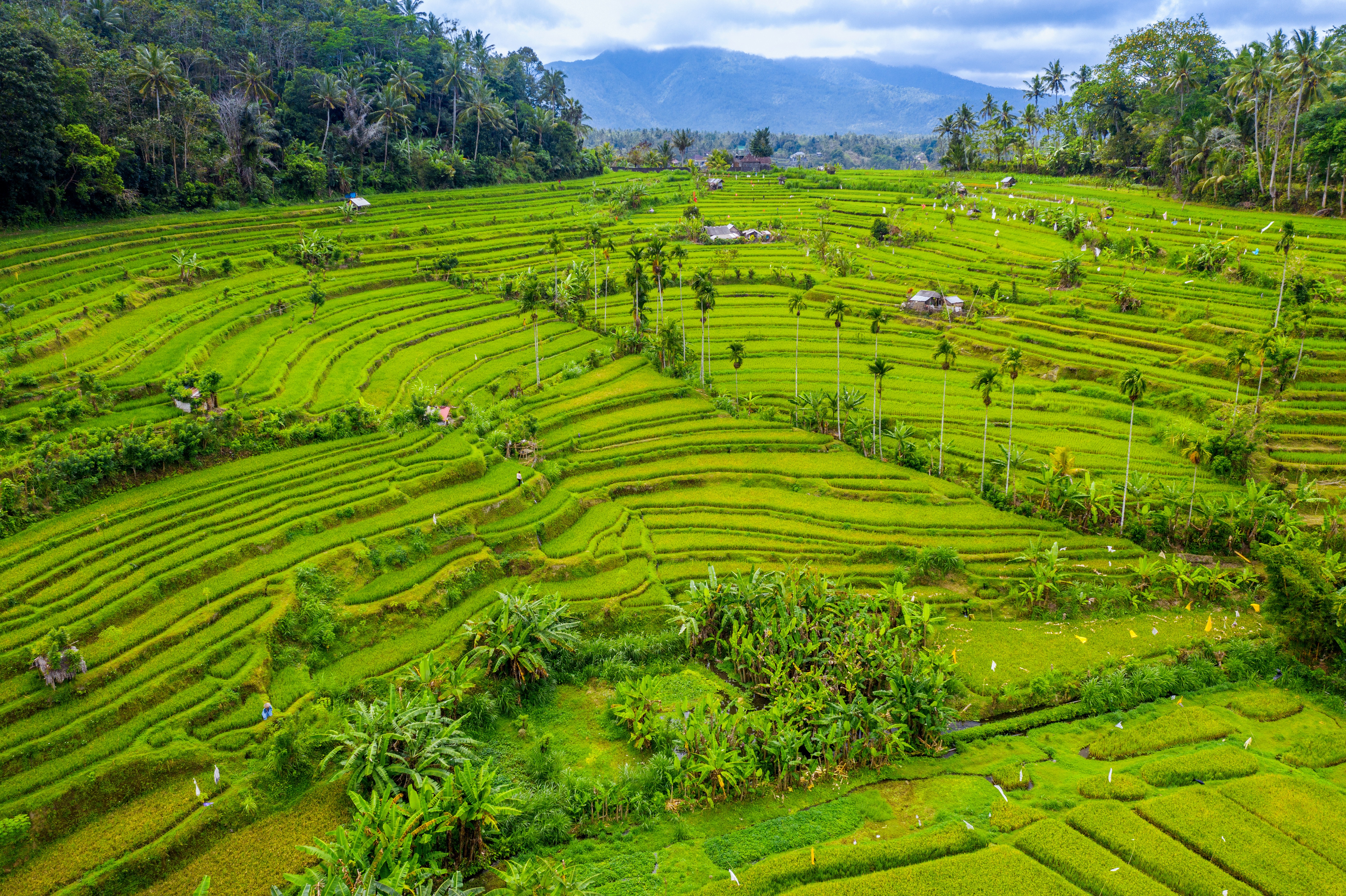 Indonesia Visa